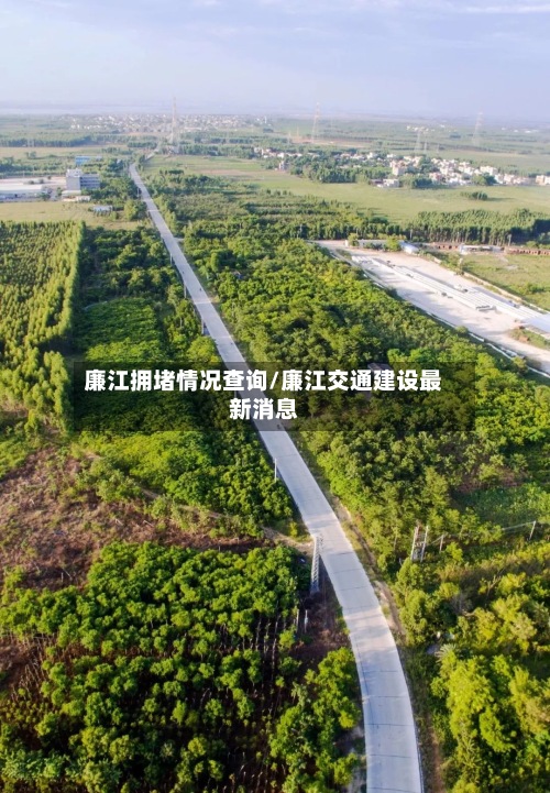 廉江拥堵情况查询/廉江交通建设最新消息