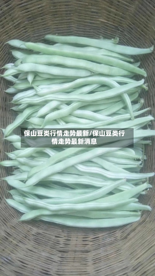 保山豆类行情走势最新/保山豆类行情走势最新消息-第2张图片
