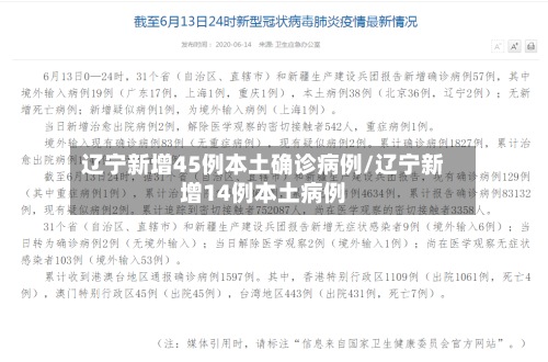 辽宁新增45例本土确诊病例/辽宁新增14例本土病例-第2张图片