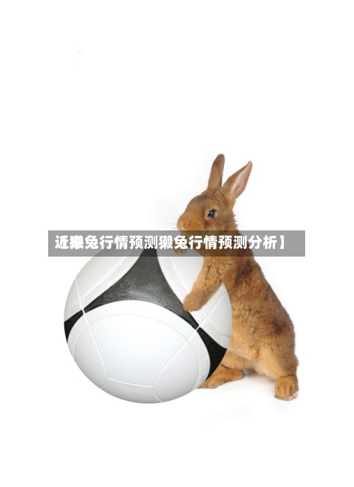 近来【獭兔行情预测獭兔行情预测分析】-第3张图片