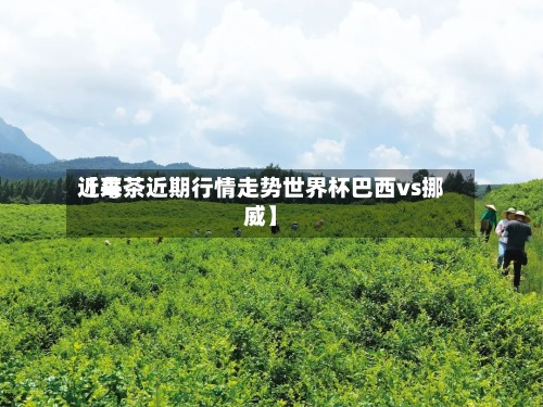 近来【莓茶近期行情走势世界杯巴西vs挪威】-第3张图片