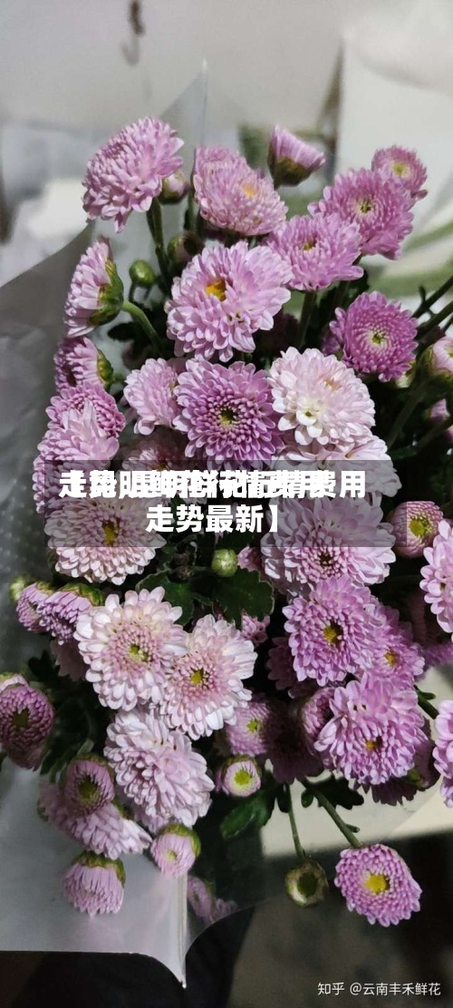 【昆明鲜花行情费用走势,昆明鲜花行情费用走势最新】-第2张图片