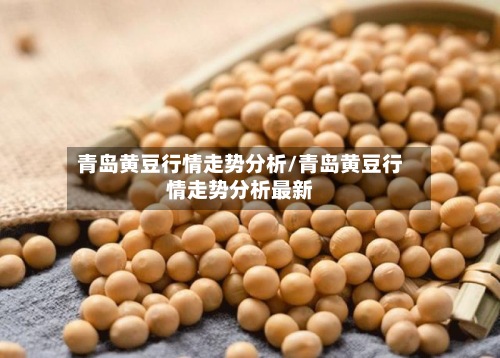 青岛黄豆行情走势分析/青岛黄豆行情走势分析最新