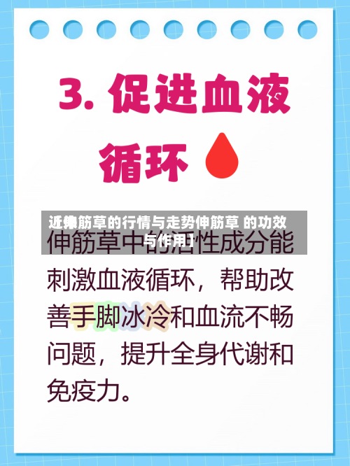 近来【伸筋草的行情与走势伸筋草 的功效与作用】-第3张图片