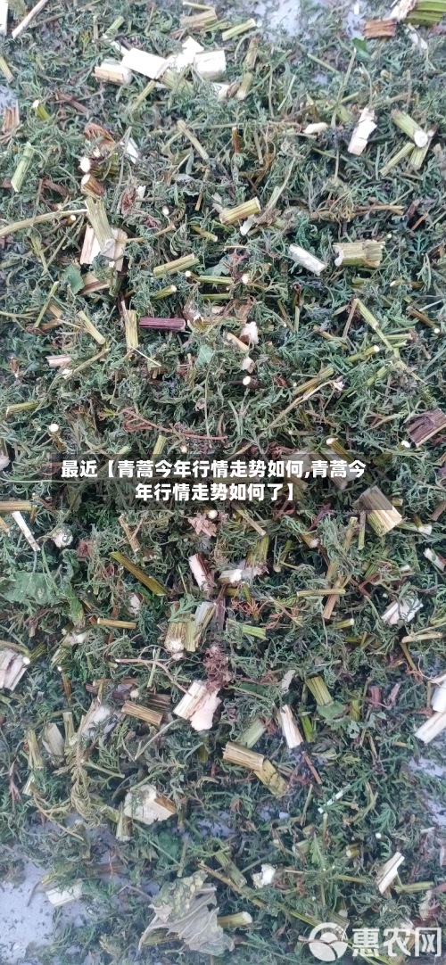 最近【青蒿今年行情走势如何,青蒿今年行情走势如何了】