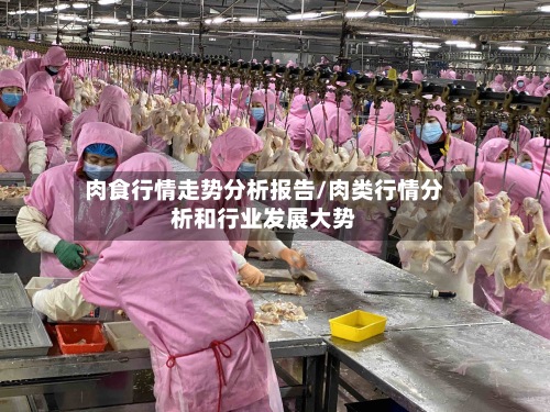 肉食行情走势分析报告/肉类行情分析和行业发展大势