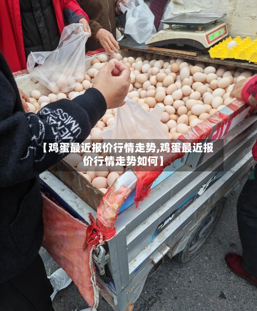 【鸡蛋最近报价行情走势,鸡蛋最近报价行情走势如何】-第2张图片