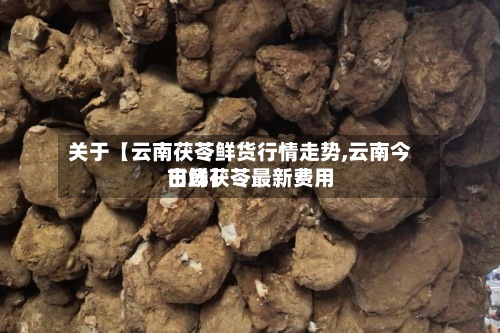 关于【云南茯苓鲜货行情走势,云南今日鲜茯苓最新费用市场】-第3张图片
