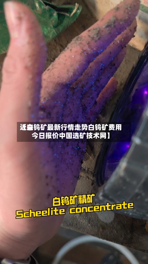 近来【白钨矿最新行情走势白钨矿费用今日报价中国选矿技术网】-第3张图片