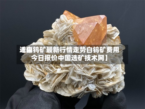 近来【白钨矿最新行情走势白钨矿费用今日报价中国选矿技术网】-第2张图片