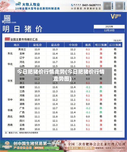 今日肥猪价行情走势(今日肥猪价行情走势图)