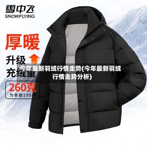 今年最新羽绒行情走势(今年最新羽绒行情走势分析)