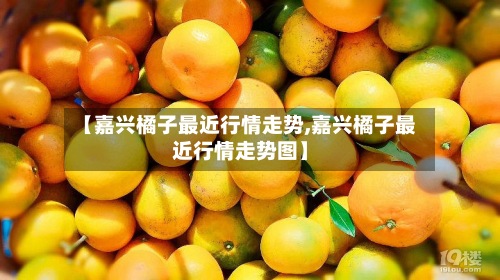 【嘉兴橘子最近行情走势,嘉兴橘子最近行情走势图】-第3张图片