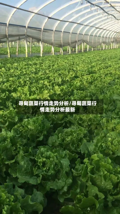 寻甸蔬菜行情走势分析/寻甸蔬菜行情走势分析最新-第2张图片
