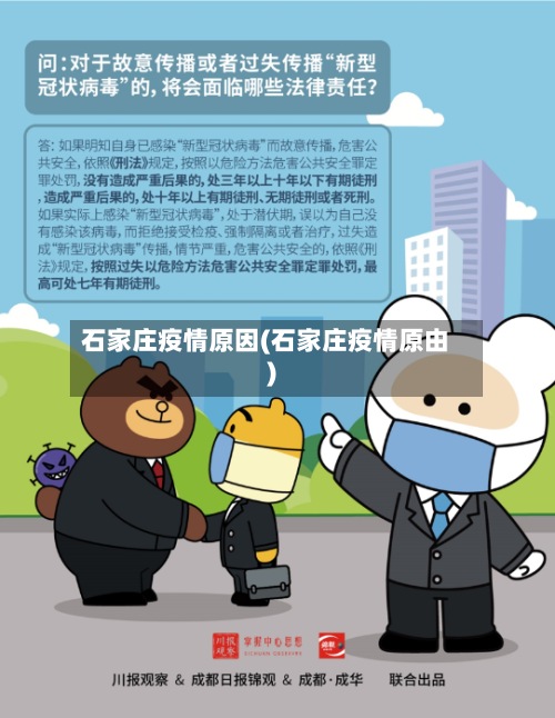 石家庄疫情原因(石家庄疫情原由)-第2张图片