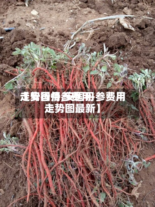 【安国丹参费用
走势行情,安国丹参费用
走势图最新】-第2张图片
