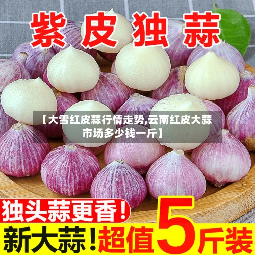 【大雪红皮蒜行情走势,云南红皮大蒜市场多少钱一斤】-第2张图片