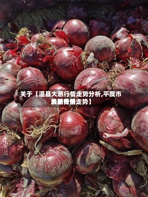 关于【温县大葱行情走势分析,平度市大葱费用最新行情走势】