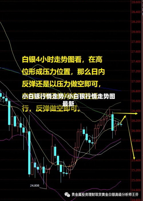 小白银行情走势/小白银行情走势图最新