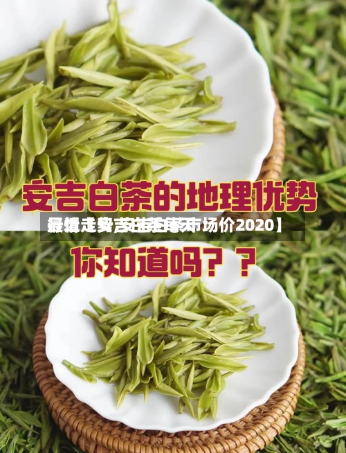 最近【安吉白茶每天行情走势,安吉白茶市场价2020】-第3张图片