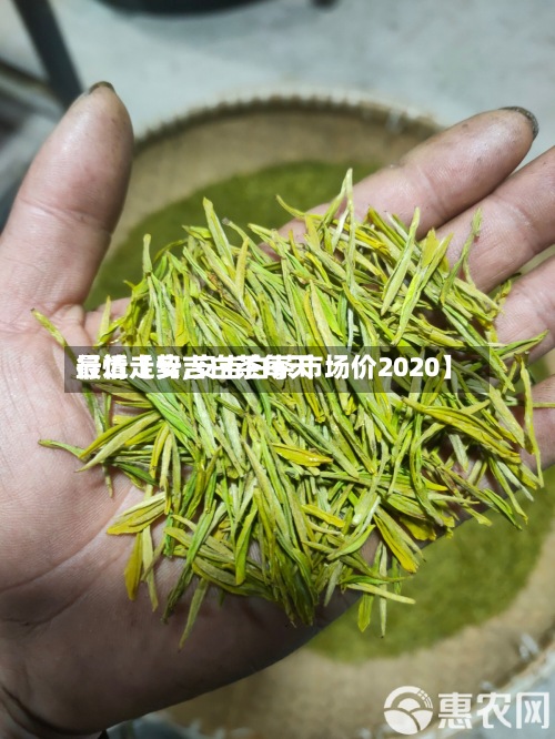 最近【安吉白茶每天行情走势,安吉白茶市场价2020】-第2张图片