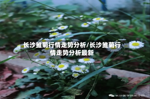 长沙雏菊行情走势分析/长沙雏菊行情走势分析最新-第2张图片