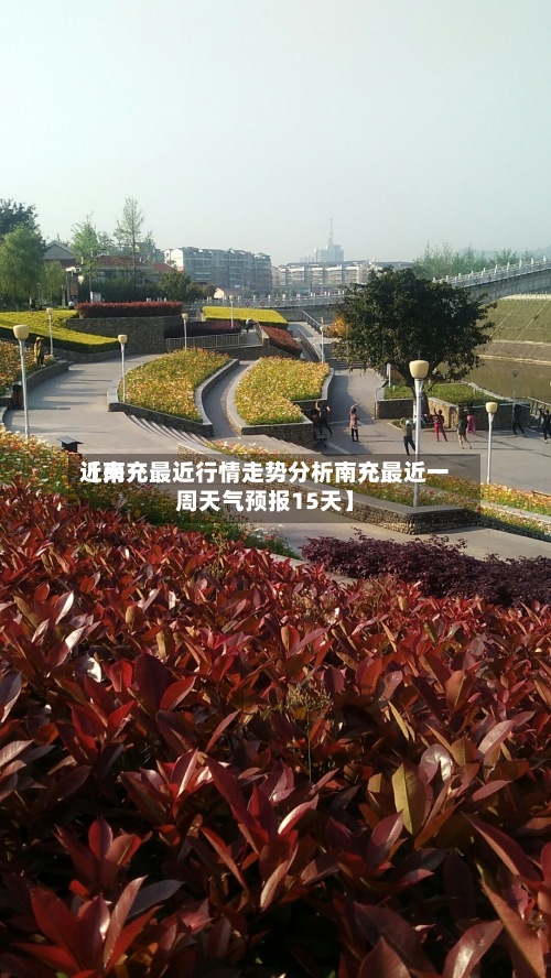 近来【南充最近行情走势分析南充最近一周天气预报15天】-第3张图片