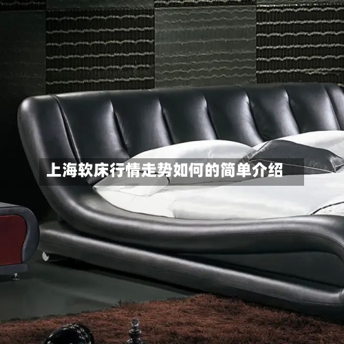 上海软床行情走势如何的简单介绍-第2张图片