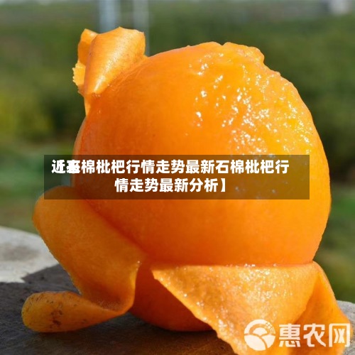近来【石棉枇杷行情走势最新石棉枇杷行情走势最新分析】