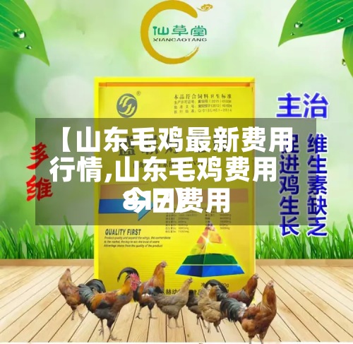 【山东毛鸡最新费用行情,山东毛鸡费用今日费用817】-第3张图片
