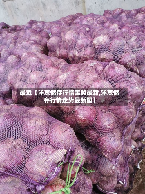 最近【洋葱储存行情走势最新,洋葱储存行情走势最新图】-第2张图片