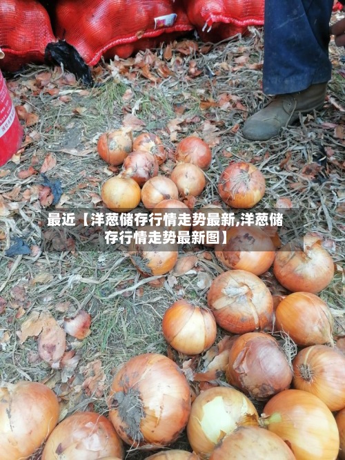 最近【洋葱储存行情走势最新,洋葱储存行情走势最新图】