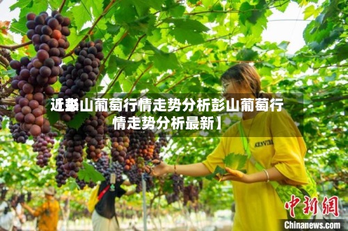 近来【彭山葡萄行情走势分析彭山葡萄行情走势分析最新】