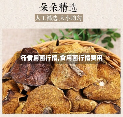 【食用菌行情,食用菌行情费用行情】-第2张图片