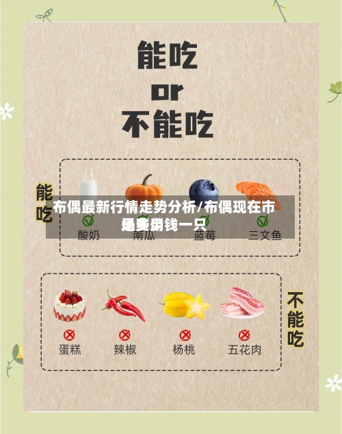 布偶最新行情走势分析/布偶现在市场费用是多少钱一只-第2张图片