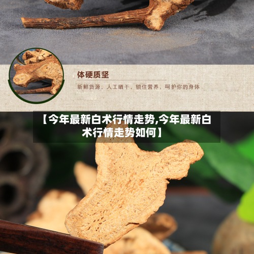 【今年最新白术行情走势,今年最新白术行情走势如何】-第3张图片