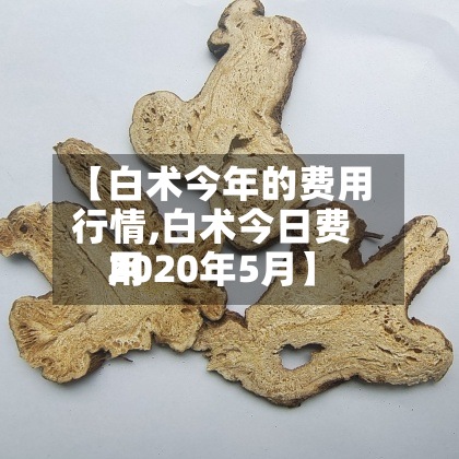 【白术今年的费用
行情,白术今日费用
2020年5月】-第2张图片