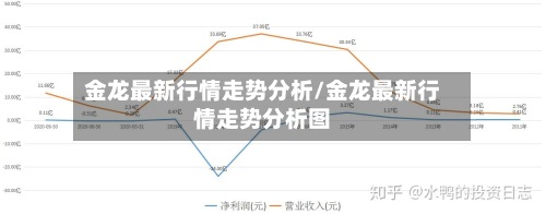 金龙最新行情走势分析/金龙最新行情走势分析图