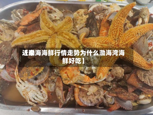 近来
【渤海海鲜行情走势为什么渤海湾海鲜好吃】-第2张图片