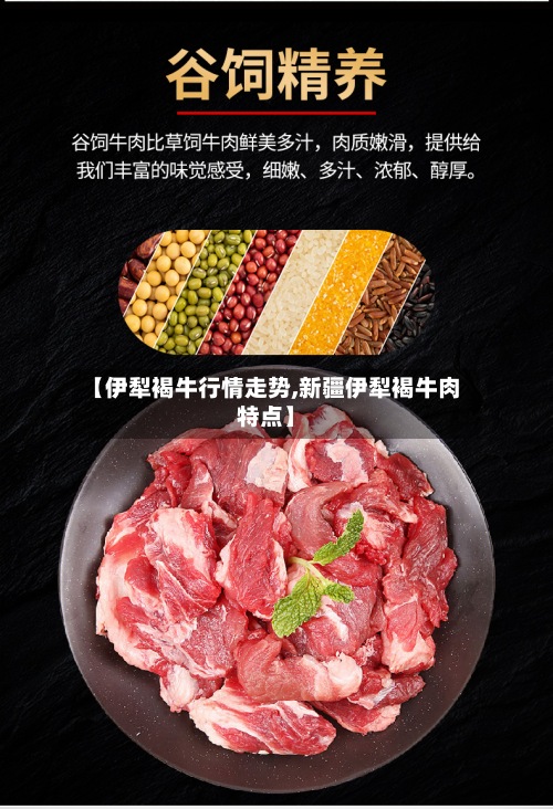 【伊犁褐牛行情走势,新疆伊犁褐牛肉特点】