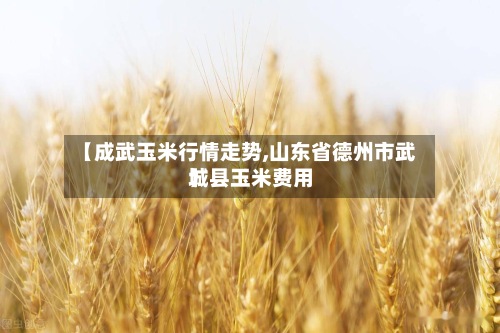 【成武玉米行情走势,山东省德州市武城县玉米费用】-第2张图片
