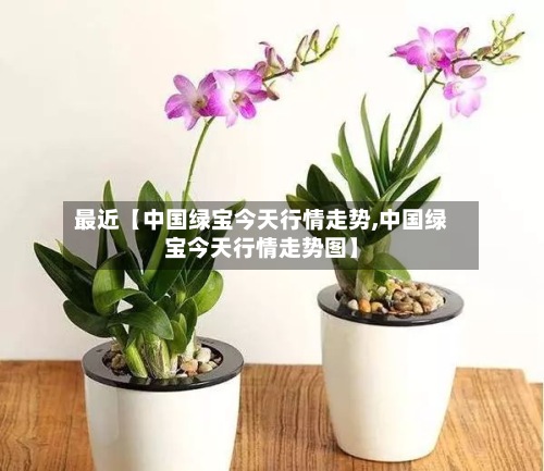 最近【中国绿宝今天行情走势,中国绿宝今天行情走势图】-第2张图片
