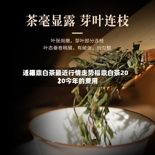 近来【福鼎白茶最近行情走势福鼎白茶2020今年的费用】-第3张图片