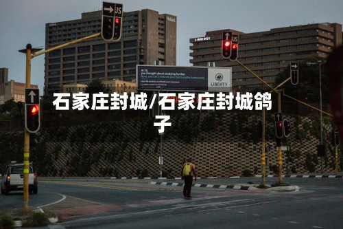 石家庄封城/石家庄封城鸽子