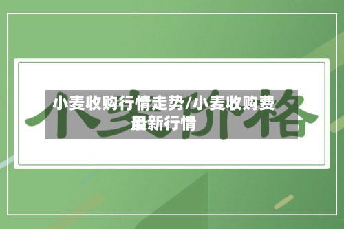 小麦收购行情走势/小麦收购费用最新行情