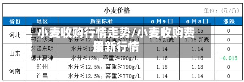 小麦收购行情走势/小麦收购费用最新行情-第2张图片