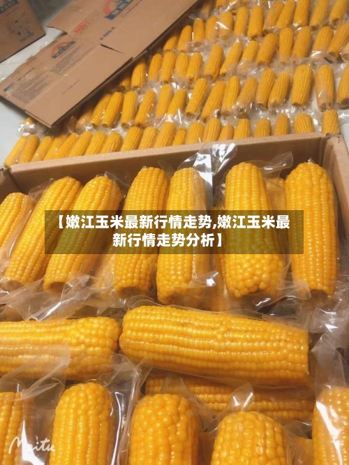 【嫩江玉米最新行情走势,嫩江玉米最新行情走势分析】-第2张图片