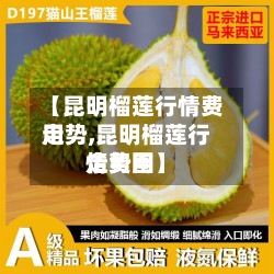 【昆明榴莲行情费用走势,昆明榴莲行情费用走势图】-第2张图片