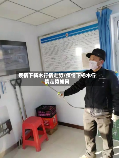 疫情下杨木行情走势/疫情下杨木行情走势如何-第2张图片