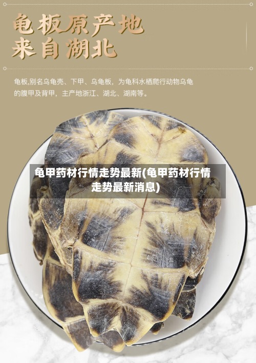 龟甲药材行情走势最新(龟甲药材行情走势最新消息)-第2张图片